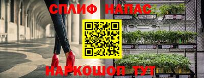 ПСИЛОЦИБИНОВЫЕ ГРИБЫ Дубна