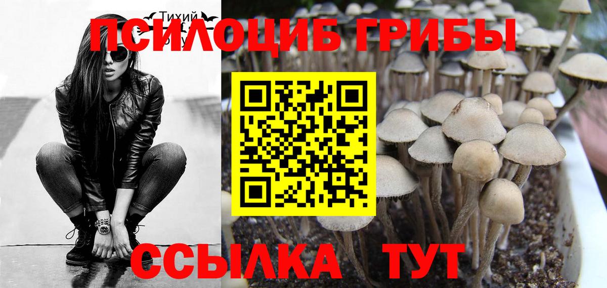 Галлюциногенные грибы ЛСД Магадан